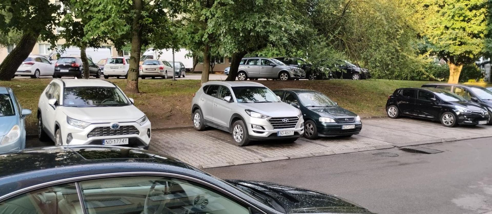 Apartament Z Baldachimem I Pieknym Widokiem Olsztyna Olsztyn  Dış mekan fotoğraf